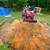 Small backhoe services 3 thumbnail