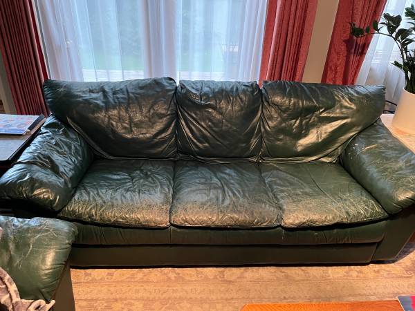 Free leather sofa 1