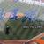 Baltimore Orioles Stadium Facsimile Signatures Limited Edition 2012 6 thumbnail