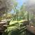 SE VENDE TERRENO CON CASA DE CAMPO EN RANCHO TECATE 800M2 $170,000 DLL 3 thumbnail