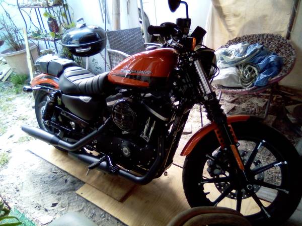 2021 Harley Davidson 883 iron lx (Hobe Sound)63832903155713120