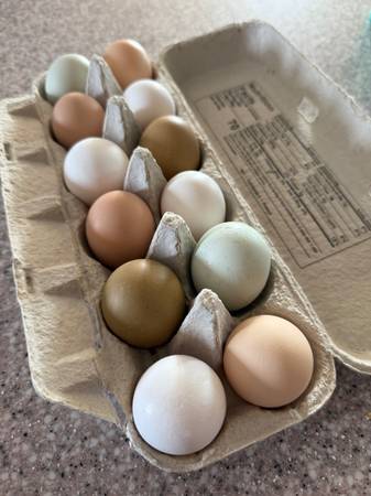 Farm fresh eggs 1