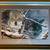 Framed Lithograph 1 thumbnail