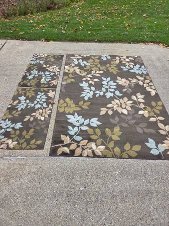 Area Rug and Runner Rugs 1