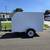 Enclosed Cargo Trailer. Towing moving Storage 2 thumbnail