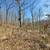 15.5 Acres- Beautifully Wooded 4 thumbnail