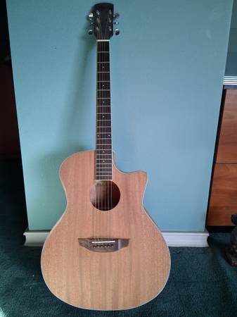 Acoustic Guitar cutaway 1