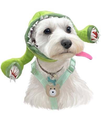 Dog Care - Seeking extra work - During tough times 1