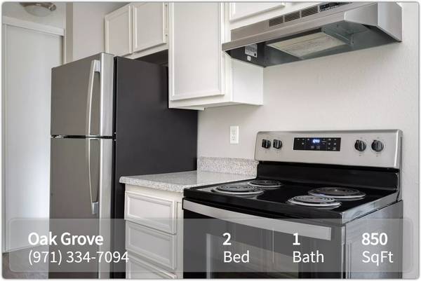 $1,495 / 2br - 850ft2 - Lots of room to call your own! Spacious 2 bed! Beautiful neighborhood! (Milwaukie)63999315140098121