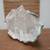 Selenite Quartz Crystal 3 thumbnail