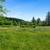 PEACEFUL, PARK-LIKE 17.91 ACRE PROPERTY WITH SUBDIVISON POTENTIAL! 24 thumbnail