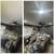 Affordable Painter - Turnovers, Repairs, Remodels 11 thumbnail