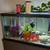Aquariums/Fish Tanks 4 thumbnail