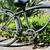 Freedom 26” Beach Cruiser New Tubes 6 thumbnail