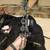 Darton 3800 and accessories 10 thumbnail