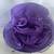 Red Hat Society Purple Birthday Ladies Hats- Felt, Wool, Paper, Woven 1 thumbnail