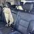 2023 GMC Acadia - Financing Available! 18 thumbnail