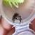 READY!!! Jumping spider babies w/tiny custom enclosures! 1 thumbnail