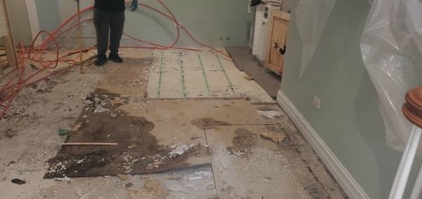 Mold remediation and more 1