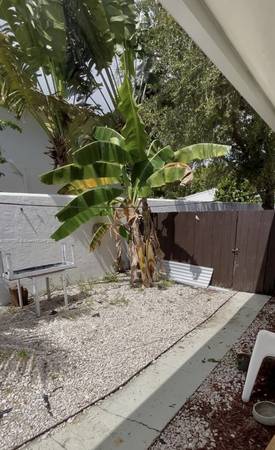 $2,600 / 2br - 2 bed 2 bath with private yard (MiMo)64001850061059121