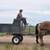 Belgian gelding. Drives and rides 5 thumbnail