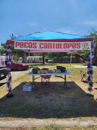 Watermelons and Pecos Cantaloupes 1