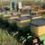 John Deere 7100 Planter 4 thumbnail