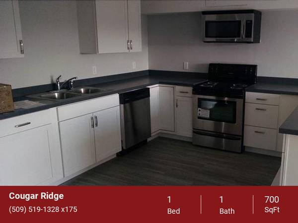 $1,120 / 1br - 700ft2 - Green Space, Yoga Room, Pay Rent Online (2024 NE Terre View Dr. Pullman, WA. 99163)63980822411267122