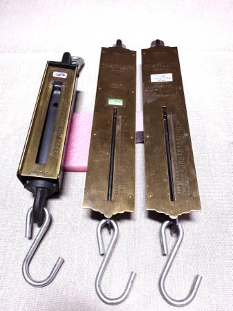 Hanging scale 1