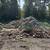 Dry firewood 2 thumbnail
