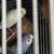 Parakeets 7 thumbnail