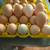 Egg hatching / eggs for consumption. 1 thumbnail