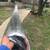 ACTS HOME SERVICES REPAIRS AND MAINTENANCE handyman 11 thumbnail