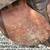 STUBBEN Close-Contact Saddle [English Horse Tack Equestrian Riding] 12 thumbnail