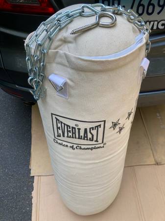 Everlast Canvas Punching Bag 1