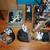 HUGE STAR WARS & STAR TREK COLLECTION; SAT; 9/6; 1/3-1/2 OFF!! 10 thumbnail