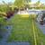Call now !!! Landscape and lawn maintenance 9 thumbnail
