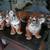 Hand crafted large ceramic Lions and Tigers 8 total pieces 2 thumbnail