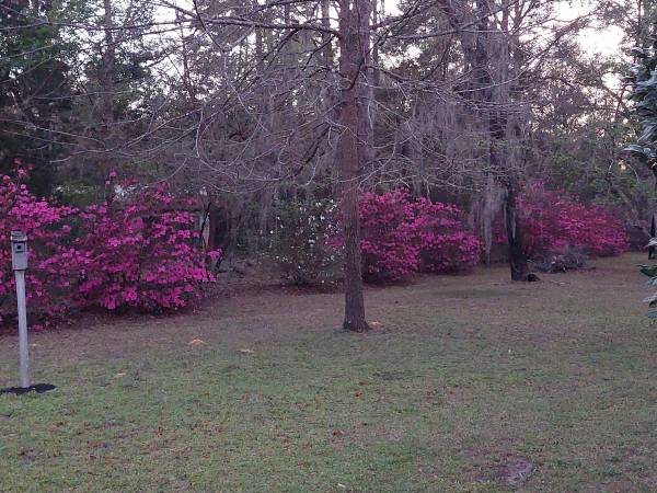 $1,850 / 3br - 1750ft2 - 3/2 Home on beautiful 1 Acre lot (Dunnellon)63693484871811123