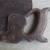 3 Antique Warranted Superior Hand Saws 12 thumbnail