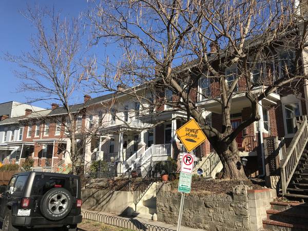 $2,000 / 1br - 700ft2 - One Bedroom  Columbia Heights English Basement Apt Modern Renovated (Washington)64040027296003120