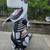 Dinosaur Costume 7 thumbnail
