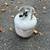 Propane Tank(s) 1 thumbnail