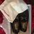 Ferragmo Parigi New Driver Loafers 1 thumbnail