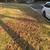 Leaf cleanup commercial and residential 10 thumbnail