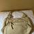 Beige Handbag 3 thumbnail