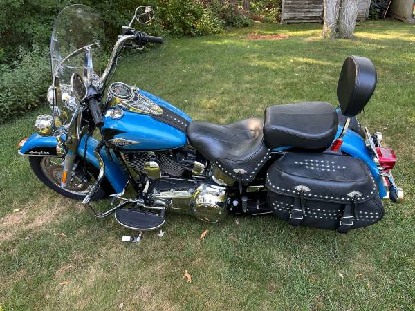 2011 FLSTC Harley Davidson 1