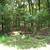 TABLEROCK LAKEFRONT LOT 75 X 115 FOOT 6 thumbnail