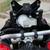 2016 BMW S1000XR 6 thumbnail