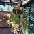 Garden, Plants, Tools, Equipment, Pots and more 4 thumbnail